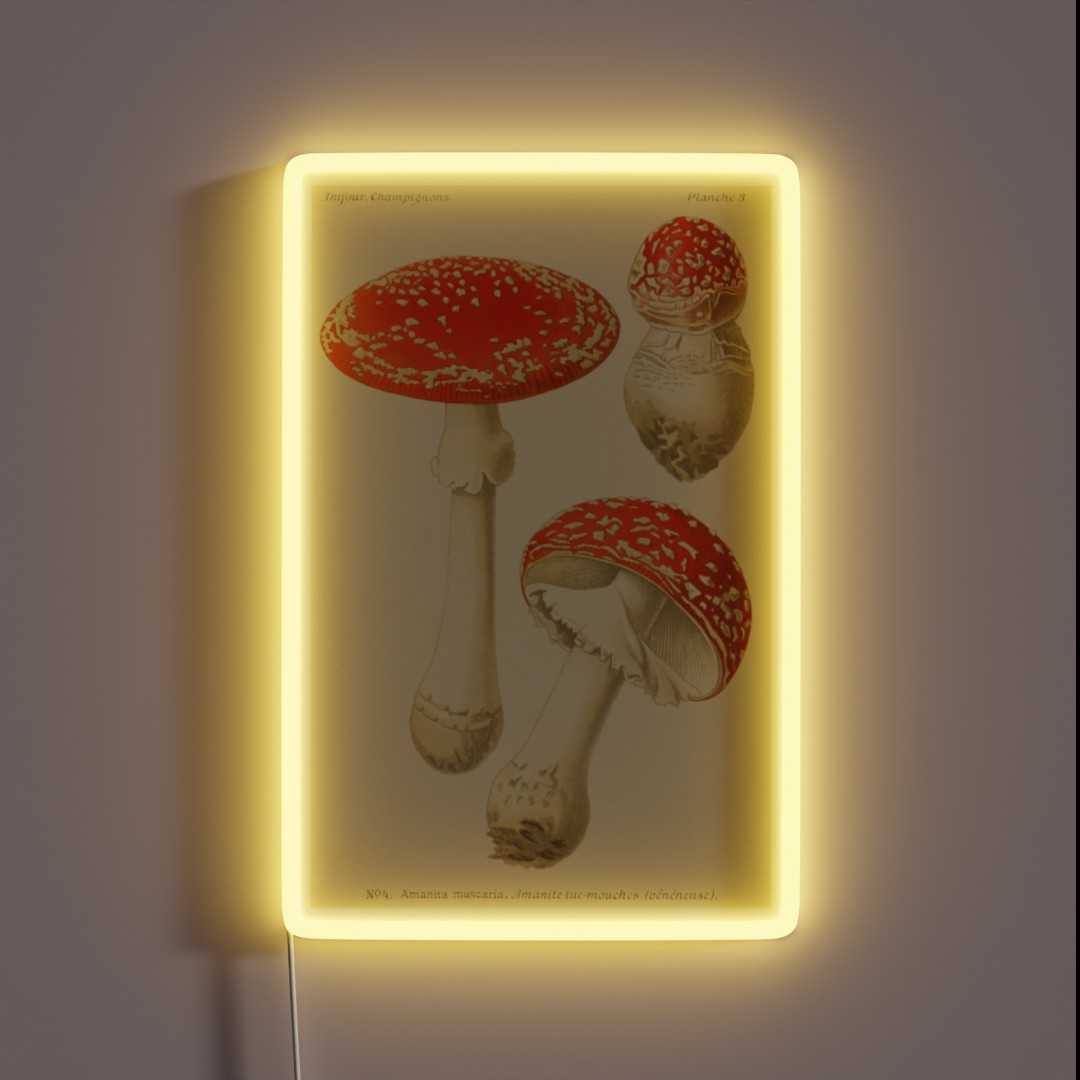 Amanita Muscaria Dufour L RGB Neon Sign Amanita Muscaria Dufour L RGB Neon Sign