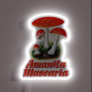 Amanita Muscaria Mushroom RGB Neon Sign
