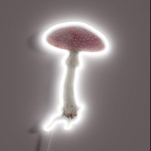Amanita Muscaria Mushroom RGB Neon Sign