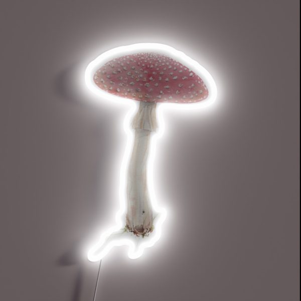 Amanita Muscaria Mushroom RGB Neon Sign