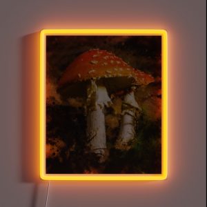 Amanita Muscaria Mushroom Vintage Cute Amanita Muscaria Botanical Art Original Fly Amanita Mushroom Muscimol Mushroom Lover RGB Neon Sign Amanita Muscaria Mushroom Vintage Cute Amanita Muscaria Botanical Art Original Fly Amanita Mushroom Muscimol Mushroom Lover RGB Neon Sign