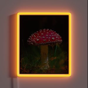 Amanita Muscaria Mushroom Vintage Cute Amanita Muscaria Botanical Art Original Fly Amanita Mushroom Muscimol Mushroom Lover RGB Neon Sign Amanita Muscaria Mushroom Vintage Cute Amanita Muscaria Botanical Art Original Fly Amanita Mushroom Muscimol Mushroom Lover RGB Neon Sign