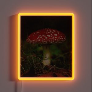 Amanita Muscaria Mushroom Vintage Cute Amanita Muscaria Botanical Art Original Fly Amanita Mushroom Muscimol Mushroom Lover RGB Neon Sign Amanita Muscaria Mushroom Vintage Cute Amanita Muscaria Botanical Art Original Fly Amanita Mushroom Muscimol Mushroom Lover RGB Neon Sign