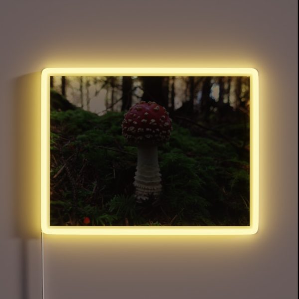 Amanita Muscaria RGB Neon Sign
