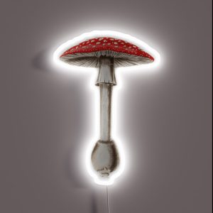 Amanita Muscaria RGB Neon Sign