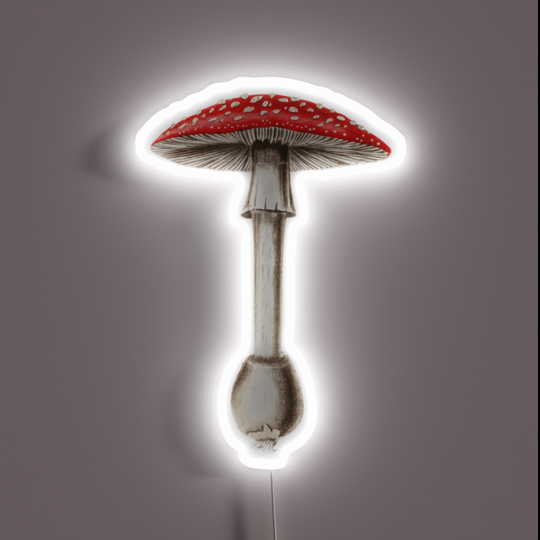 Amanita Muscaria RGB Neon Sign Amanita Muscaria RGB Neon Sign