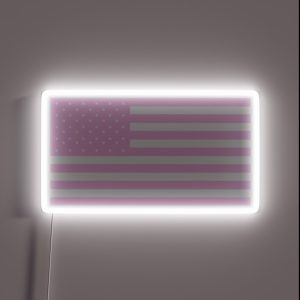 American Flag Pink Pastel RGB Neon Sign