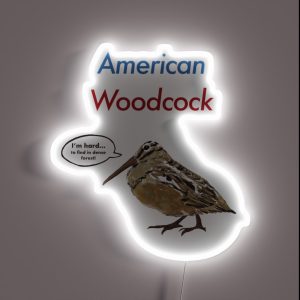 American Woodcock RGB Neon Sign American Woodcock RGB Neon Sign