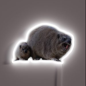 Amgry Rock Hyrax RGB Neon Sign Amgry Rock Hyrax RGB Neon Sign