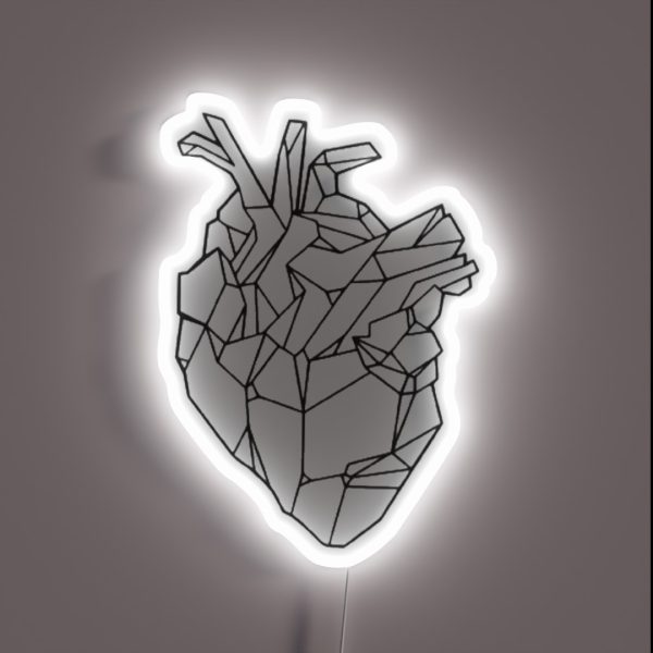 Anatomical Geometric Heart RGB Neon Sign
