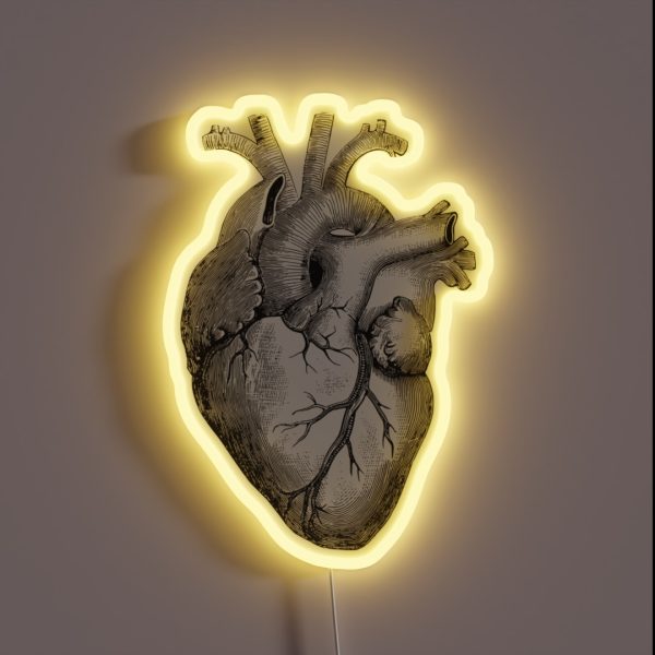 Anatomical Heart RGB Neon Sign