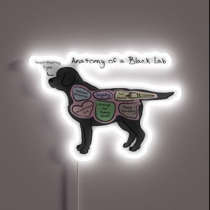 Anatomy Of A Black Lab RGB Neon Sign