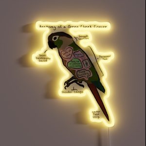 Anatomy Of A Green Cheek Conure RGB Neon Sign