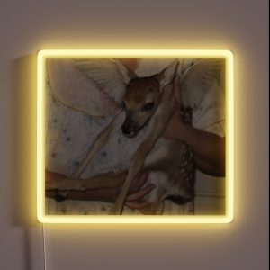 Angel Fawn RGB Neon Sign