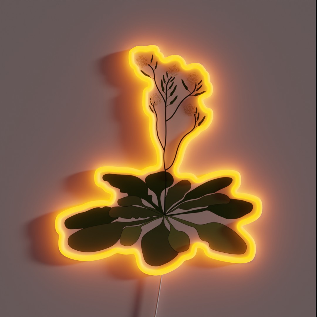 Arabidopsis STEM Experiment Floral RGB Neon Sign Arabidopsis STEM Experiment Floral RGB Neon Sign
