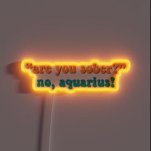 Are You Sober That 70 S Show RGB Neon Sign