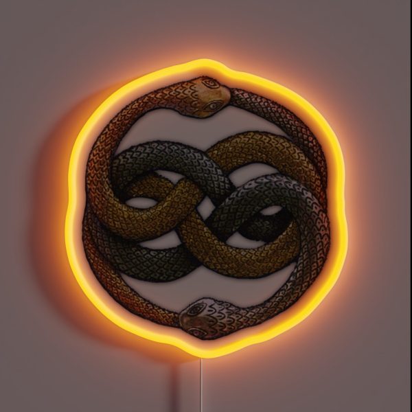 Auryn RGB Neon Sign