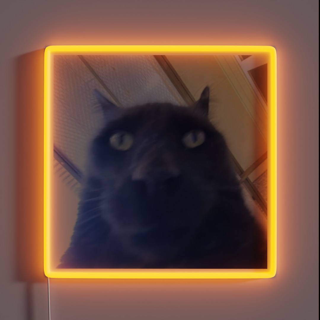 Awkward Black Cat To Stare At You RGB Neon Sign Awkward Black Cat To Stare At You RGB Neon Sign