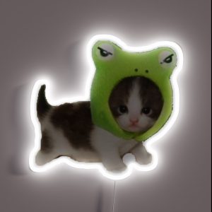Baby Cat With Frog Hat RGB Neon Sign