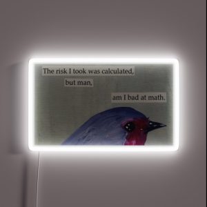 Bad At Math Meme RGB Neon Sign Bad At Math Meme RGB Neon Sign