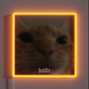 Balls Cat RGB Neon Sign