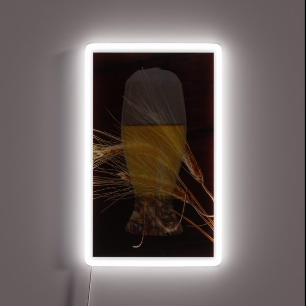 Beer Barley RGB Neon Sign