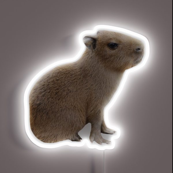 Capybara Baby RGB Neon Sign
