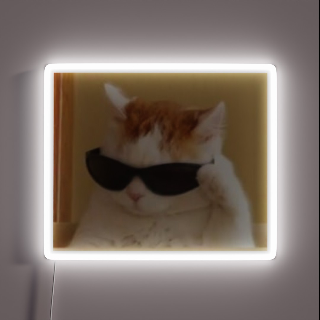 Cat Meme RGB Neon Sign Cat Meme RGB Neon Sign