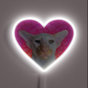 Be My Valentine Winston RGB Neon Sign