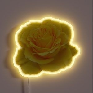 Beautiful Yellow Rose Closeup Photograph RGB Neon Sign