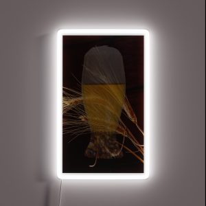 Beer Barley RGB Neon Sign