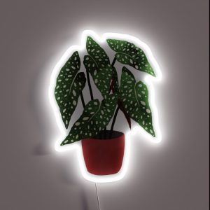 Begonia Maculata Flowerpot Watercolor RGB Neon Sign