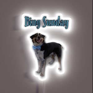Bing Sunday RGB Neon Sign