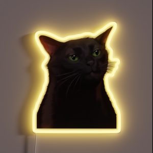 Black Cat Zoning Out Meme RGB Neon Sign