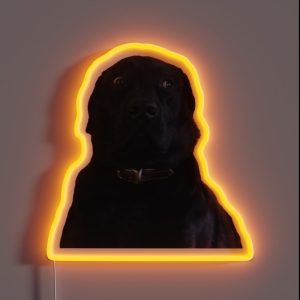 BLACK LABRADOR STARE DOGGO MEME RGB Neon Sign