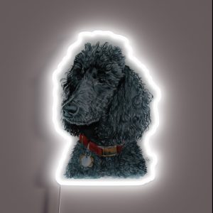 Black Poodle RGB Neon Sign