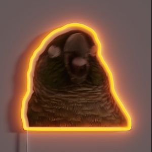 Boba Birb RGB Neon Sign