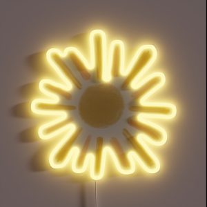 Boho Sun RGB Neon Sign