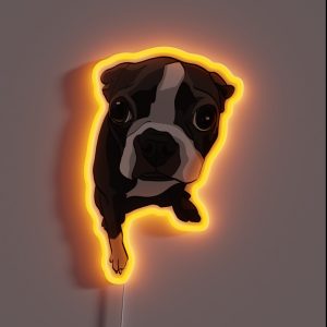 Boston Terrier Expressions RGB Neon Sign