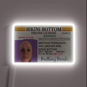 Brittany Broski Bikini Bottom License RGB Neon Sign