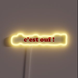 C Est Ouf It S Crazy French RGB Neon Sign