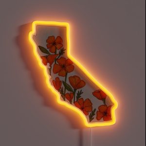 California RGB Neon Sign