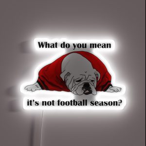 Can Football Season Be All Year RGB Neon Sign