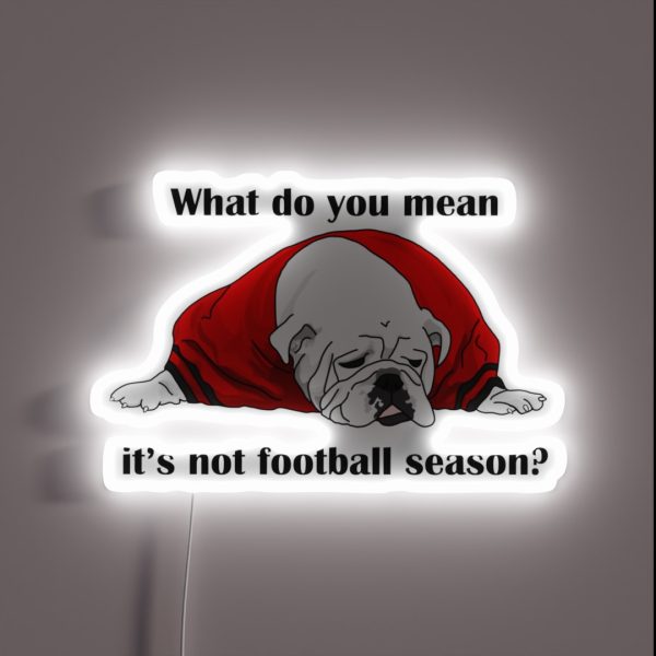 Can Football Season Be All Year RGB Neon Sign