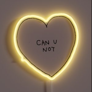 Can U Not RGB Neon Sign