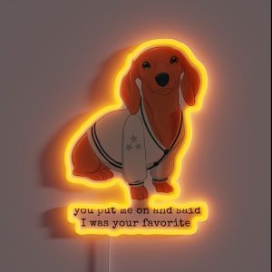 Cardigan Dachshund RGB Neon Sign