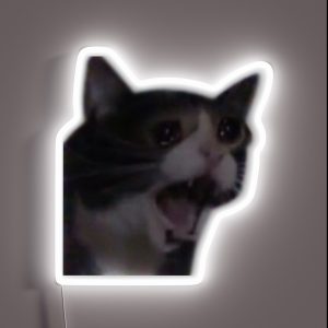 Cat Cry Meme RGB Neon Sign