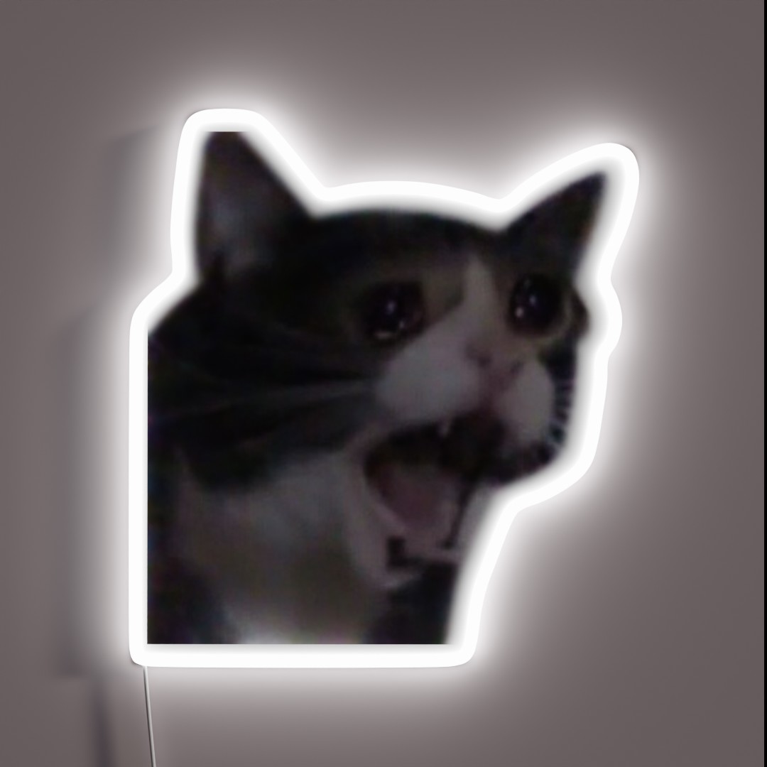 Cat Cry Meme RGB Neon Sign Cat Cry Meme RGB Neon Sign