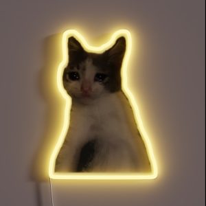 Cat Crying Meme RGB Neon Sign