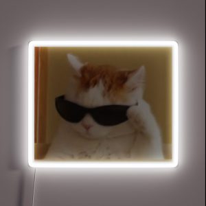 Cat Meme RGB Neon Sign Cat Meme RGB Neon Sign